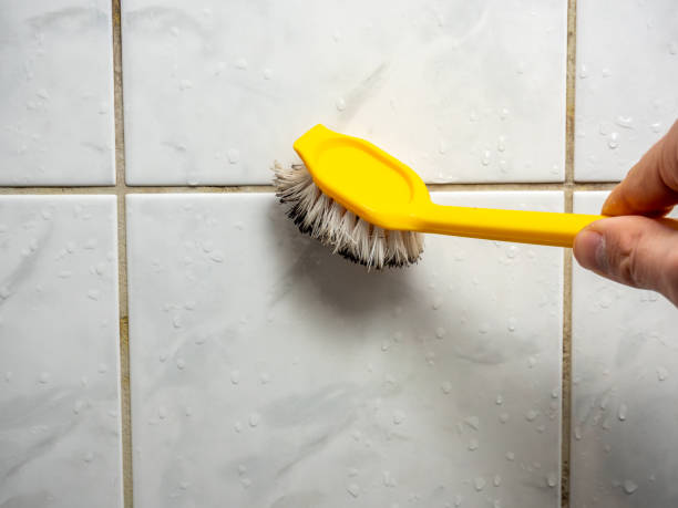 Certified Mold Removal in Keene, NH