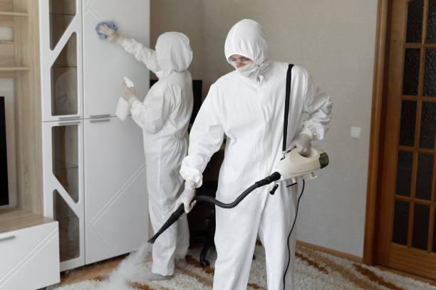 Best Toxic Mold Removal  in Keene, NH