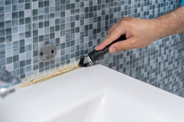 Best Fast Mold Removal  in Keene, NH