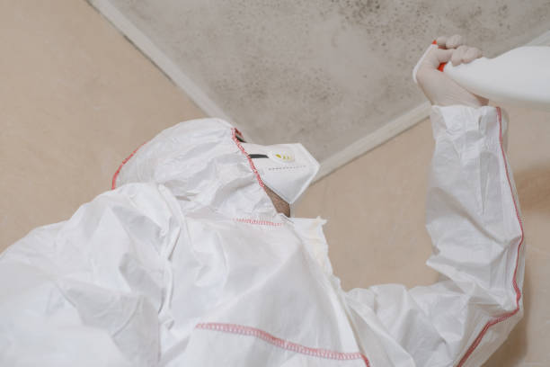 Home Mold Removal in Keene, NH