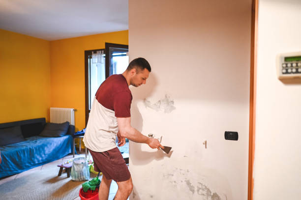 Best Black Mold Removal  in Keene, NH
